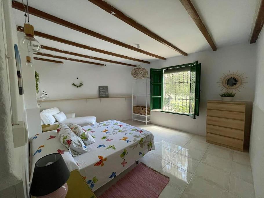 ムルシア La Casa De Ladrillo, Relax Y Trekking House.ヴィラ エクステリア 写真