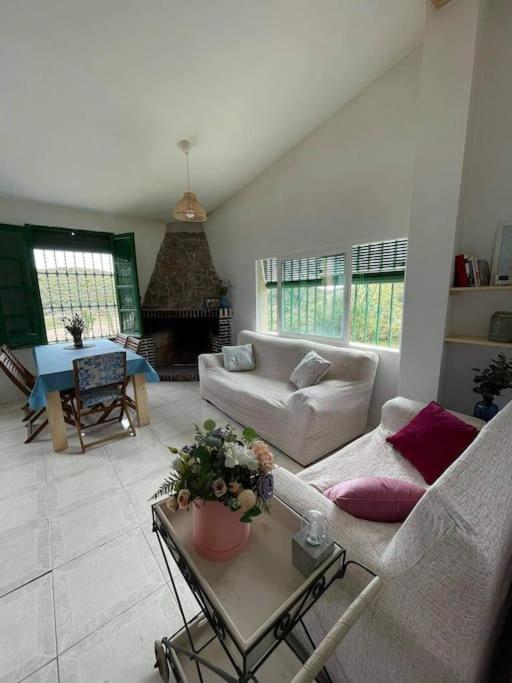 ムルシア La Casa De Ladrillo, Relax Y Trekking House.ヴィラ エクステリア 写真